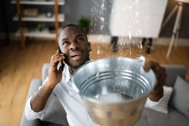 Best Local water damage restoration  in Big Bend, WI