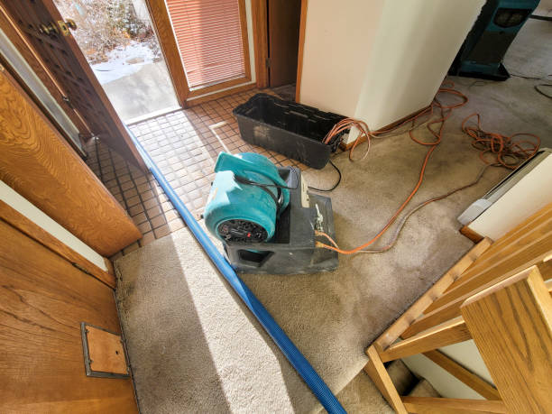 Best Carpet water damage restoration  in Big Bend, WI