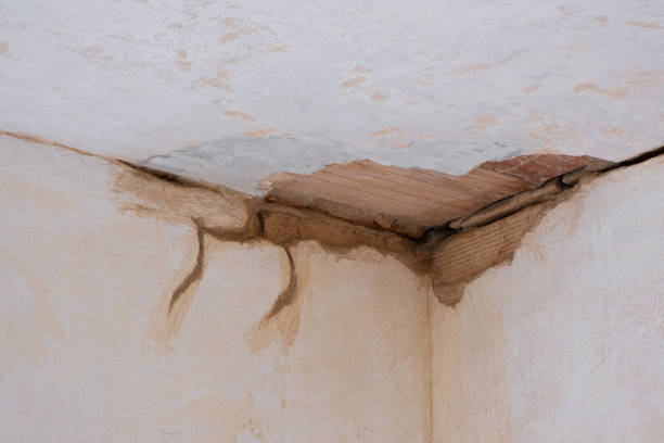 Best Basement water damage restoration  in Big Bend, WI