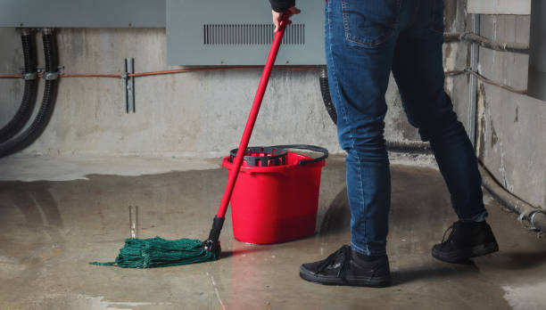 Best Water damage restoration near me  in Big Bend, WI