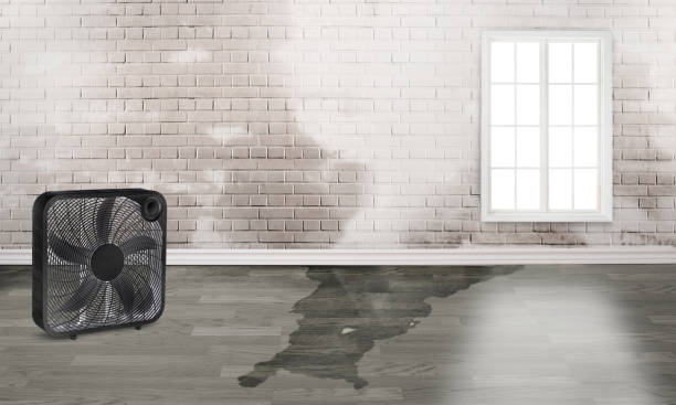 Best Flood restoration services  in Big Bend, WI