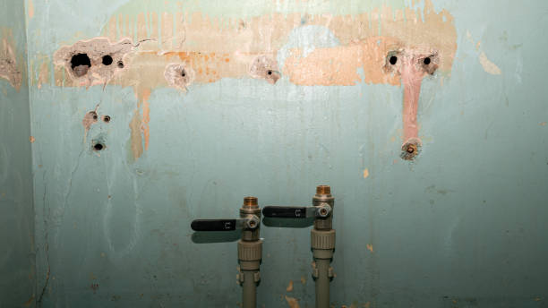 Best Water damage cleanup near me  in Big Bend, WI