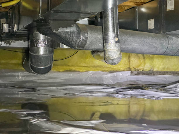 Best Water damage restoration company  in Big Bend, WI