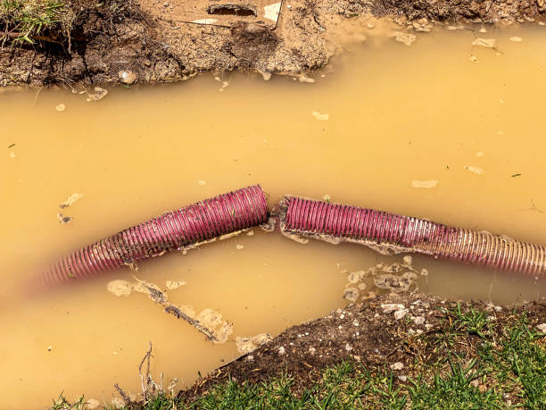 Best Flood damage cleanup  in Big Bend, WI