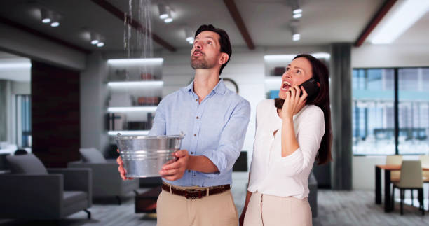  Big Bend, WI Water damage restoration Pros