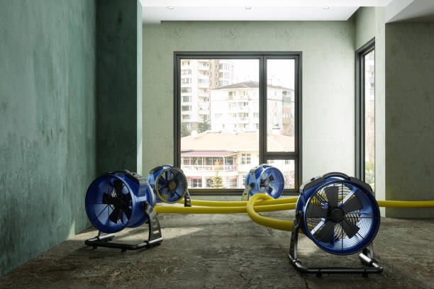 Best Residential water damage restoration  in Big Bend, WI