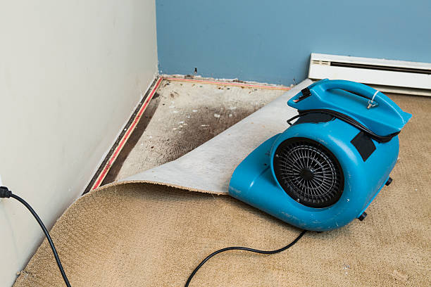 Best Flooded house restoration  in Big Bend, WI